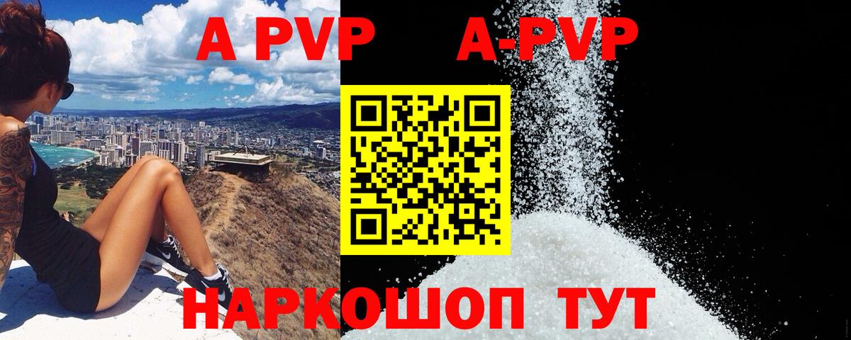 Альфа ПВП СК Кингисепп