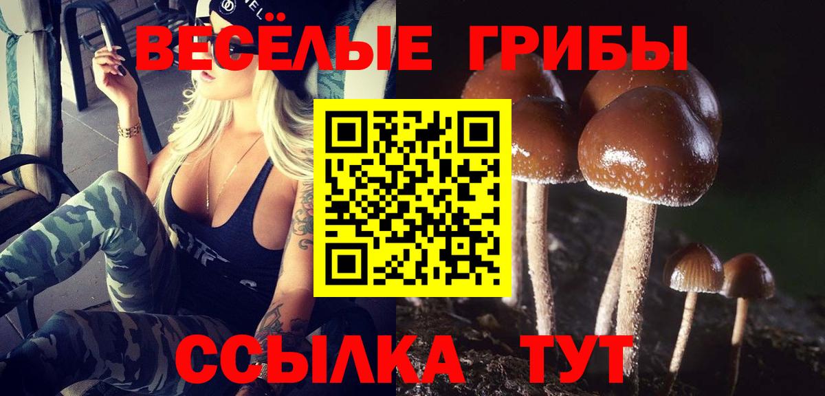 Галлюциногенные грибы GOLDEN TEACHER Кингисепп
