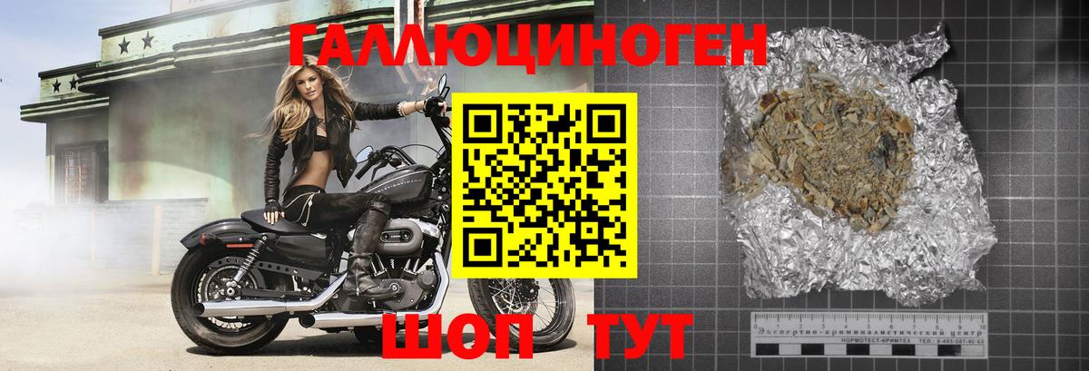 Кингисепп  Галлюциногенные грибы Psilocybe  Вход с VPN  Галлюциногенные грибы мицелий 